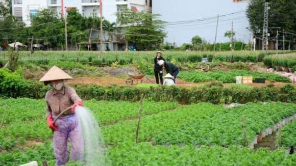 chuyển đất vườn, chuyển đất ở, kiến thức