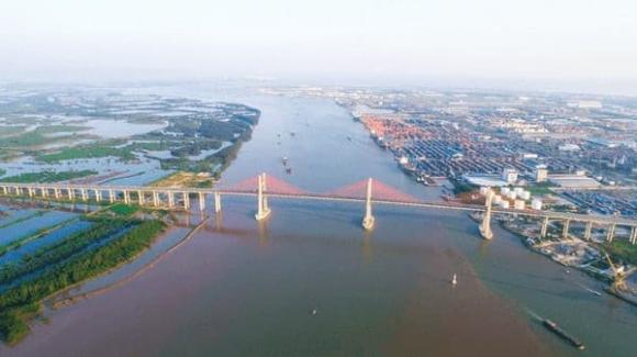 Cầu dây văng, Cầu Bạch Đằng