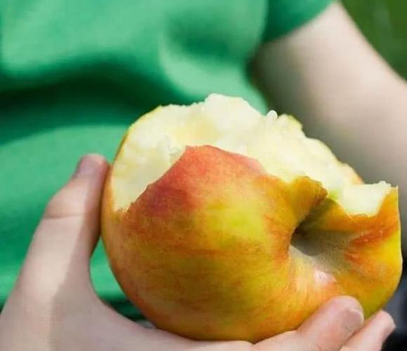 quả táo, ăn táo, thực phẩm tốt cho sức khỏe