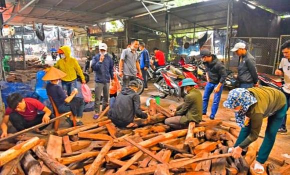 khu chợ, gỗ quý, chợ gỗ Phù Khê, Gỗ trắc, chợ gỗ quý