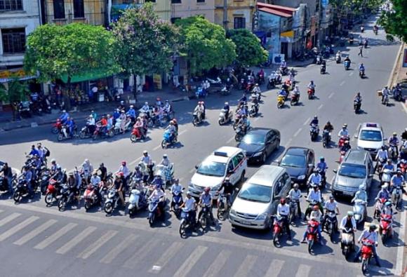 Dừng xe, tránh nắng dưới bóng cây, đèn đỏ, vi phạm giao thông