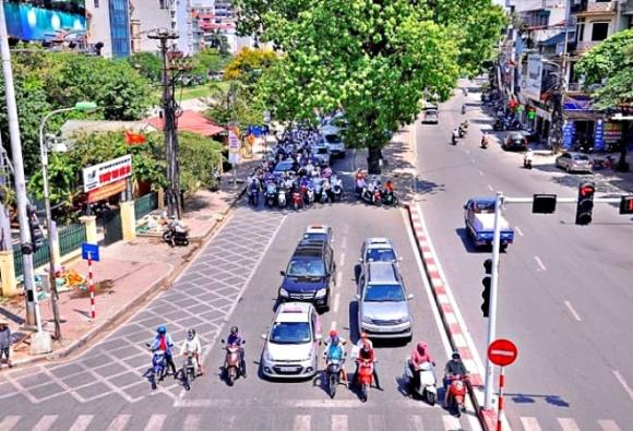 Dừng xe, tránh nắng dưới bóng cây, đèn đỏ, vi phạm giao thông