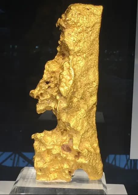 vàng, vàng đầu chó