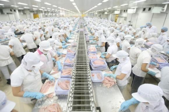 Ngành học hot, Ngành công nghệ bán dẫn