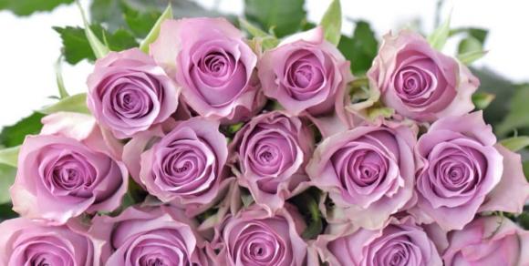Valentine tặng hoa hồng màu gì