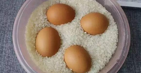 bảo quản, bảo quản trứng