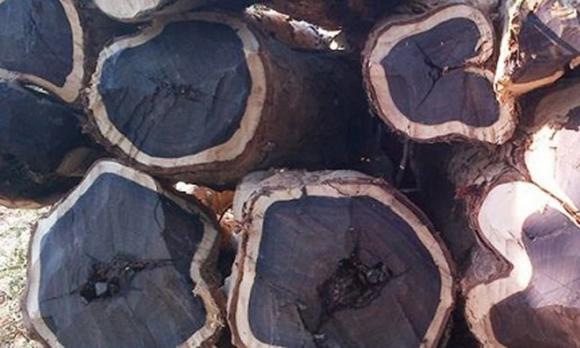  người Châu Phi, đào giếng, làm ruộng