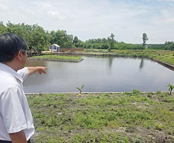 đất ao, chuyển đổi đất ao, chi phí chuyển đổi đất ao, kiến thức 