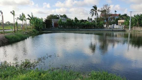 đất ao, chuyển đổi đất ao, chi phí chuyển đổi đất ao, kiến thức 
