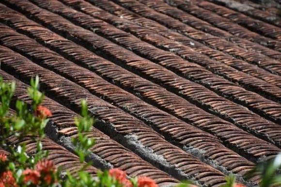 Căn nhà cổ 200 tuổi, ngôi nhà cổ bằng gỗ mít
