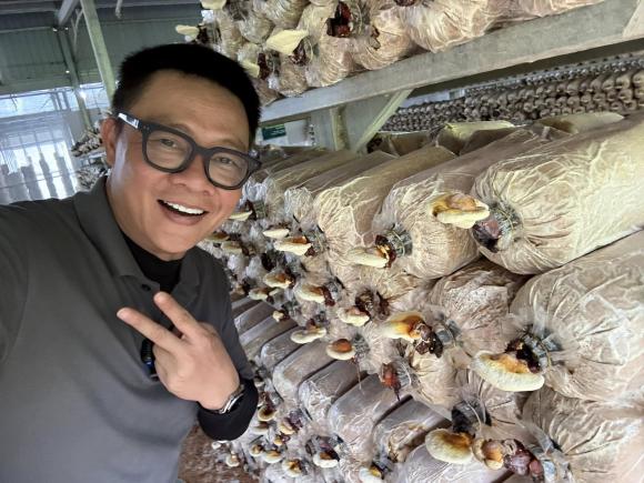 Sao Việt, tin sao việt mới nhất
