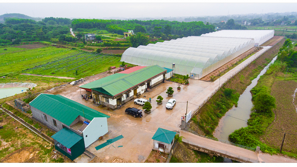 chuồng trại, xây chuồng trại trên đất nông nghiệp, kiến thức