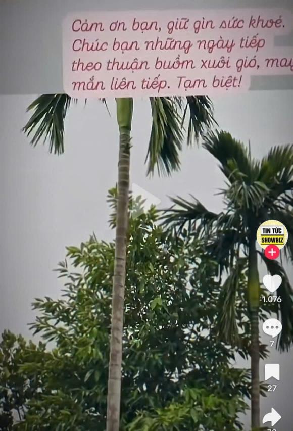 bùi khánh linh, sao việt 