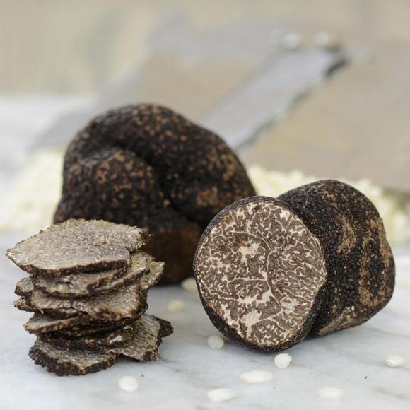 nấm truffle, săn nấm truffle