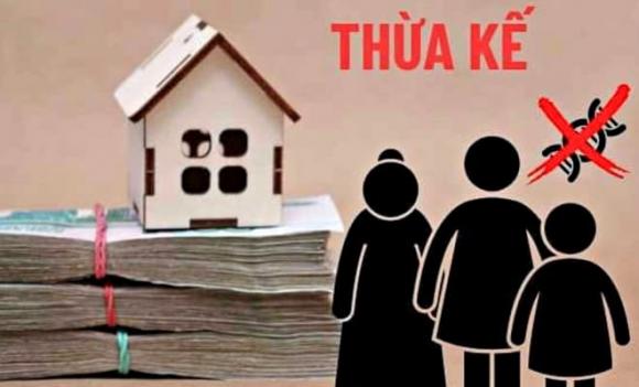 quyền thừa kế, luật thừa kế, con ruột, thừa kế tài sản