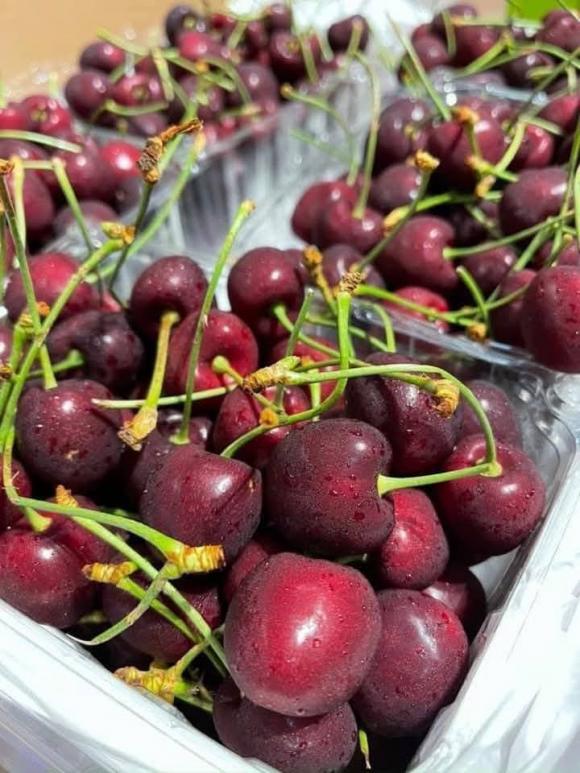 cherry, giá cherry việt nam, kiến thức 