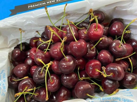 cherry, giá cherry việt nam, kiến thức 