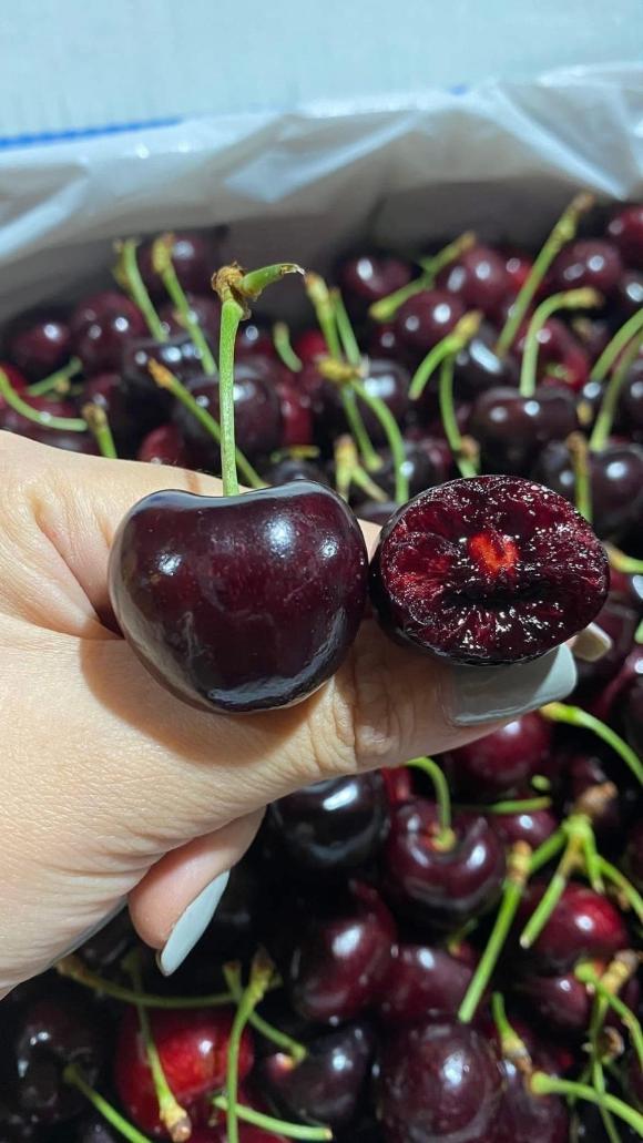 cherry, giá cherry việt nam, kiến thức 