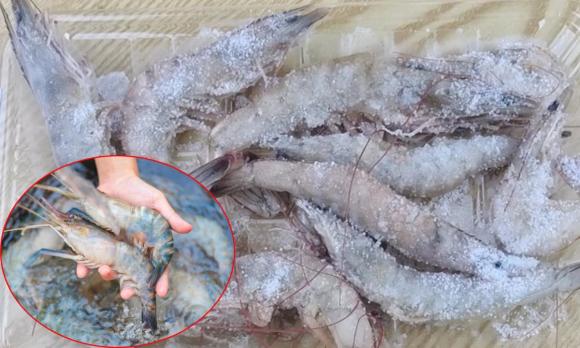 khoai tây, khoai tây mọc mầm, bảo quản khoai tây, mẹo hay