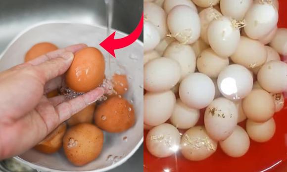 khoai tây, khoai tây mọc mầm, bảo quản khoai tây, mẹo hay