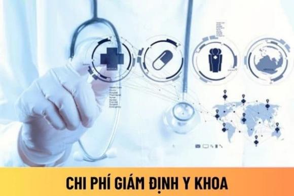 bảo hiểm xã hội thanh toán phí giám định y khoa