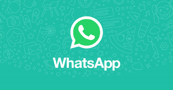 Zalo, Zalo thu phí, kiến thức 
