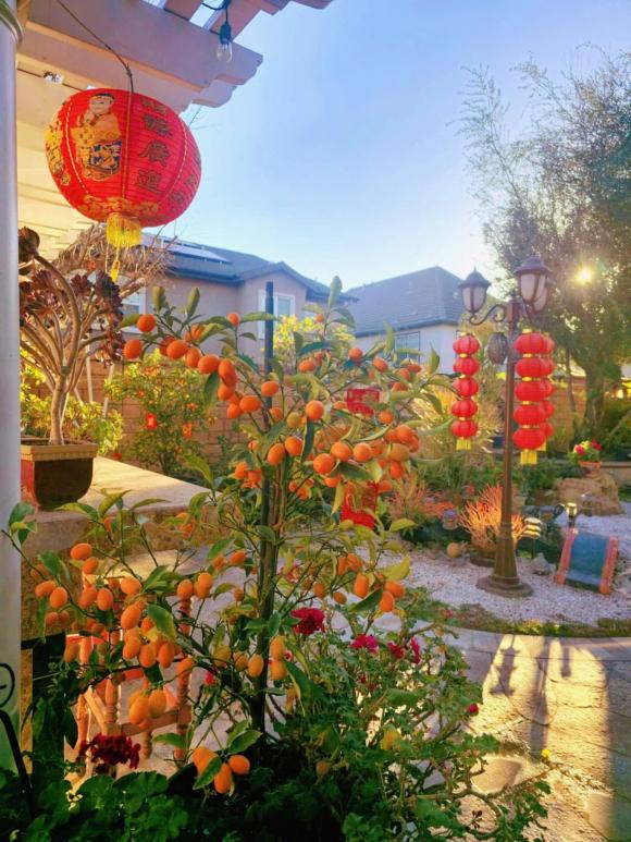 ca sĩ Hồ Lệ Thu, sao Việt