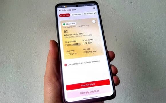 Trừ điểm GPLX, Nghị định 168, vi phạm giao thông