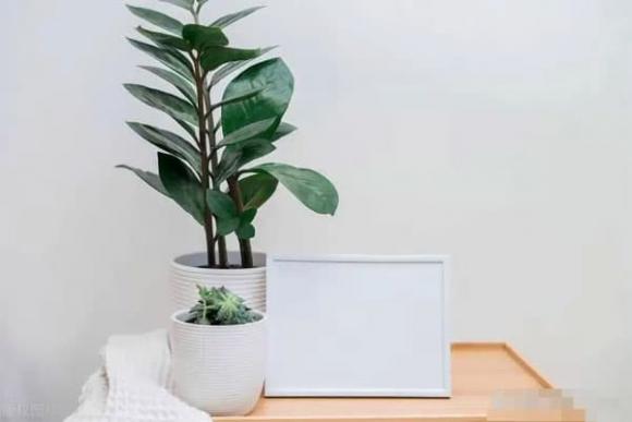 nghỉ hưu, cuộc sống, tiết kiệm tiền