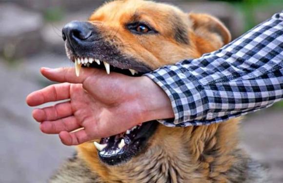 giấc mơ, kẻ xấu, gặp tai ương, điềm báo nguy hiểm