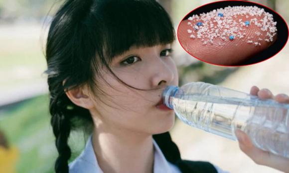 hạt vi nhựa, sức khỏe, giẻ lau, miếng bọt biển rửa bát