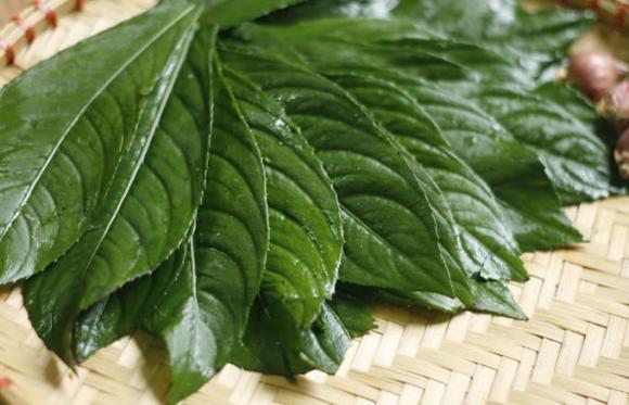 chả lá xương sông , món ngon