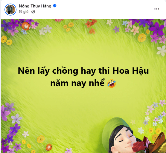 Hoa hậu Nông Thúy Hằng, sao Việt