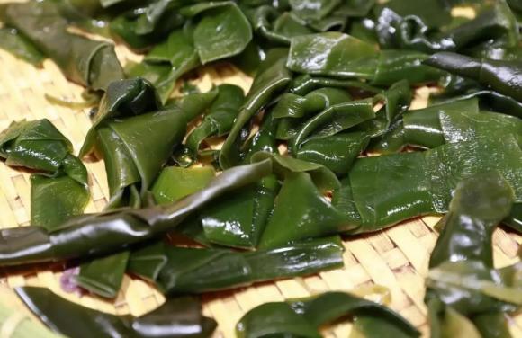 thực phẩm thải độc, thải độc cơ thể