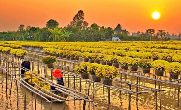 Đồng Tháp, hợp nhất, Sa Đéc, Kiến Phong