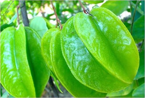 mùng 1, quả không nên thắp hương mùng 1, thắp hương