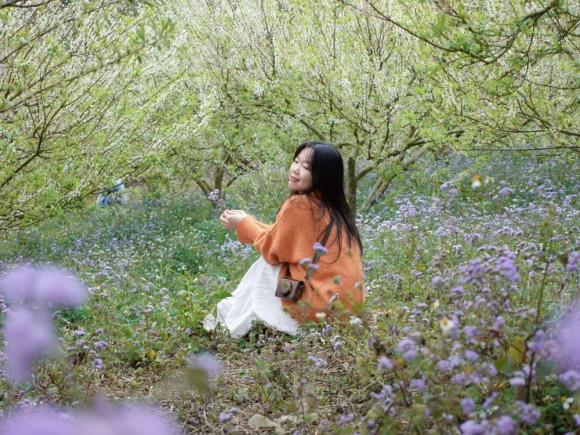 Cầu kính Bạch Long, du lịch mộc châu