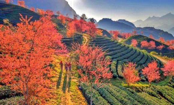Sa Pa, Thụy Sĩ của Việt Nam, Thị xã được báo Hàn ca ngợi,  tạp chí Time Out, top 16 thị trấn đẹp nhất thế giới 