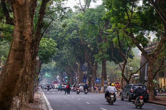 Tô Lịch, khu phố cạnh sông Tô Lịch, kiến thức