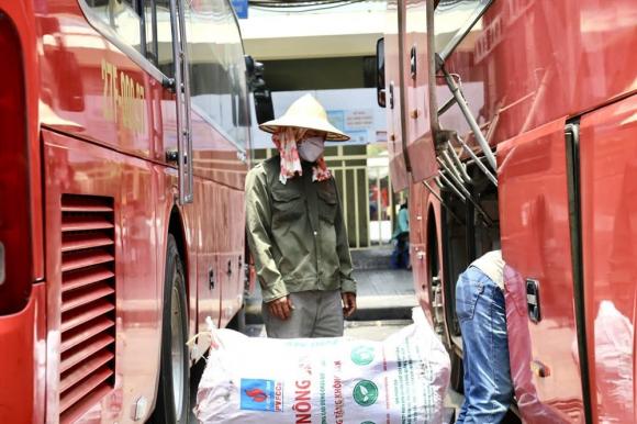 Lao động tự do, bảo hiểm tai nạn lao động