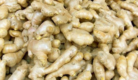 Buổi tối ăn gừng độc ngang thạch tín, ăn gừng đúng 