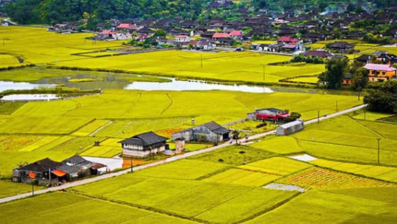 xây nhà trên đất nông nghiệp, luật đất đai