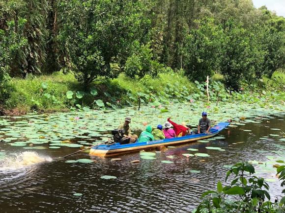 Dòng sông duy nhất cắt đôi 2 khu rừng của Việt Nam