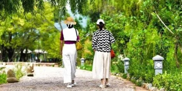 đi bộ, tập thể dục, chăm sóc sức khỏe
