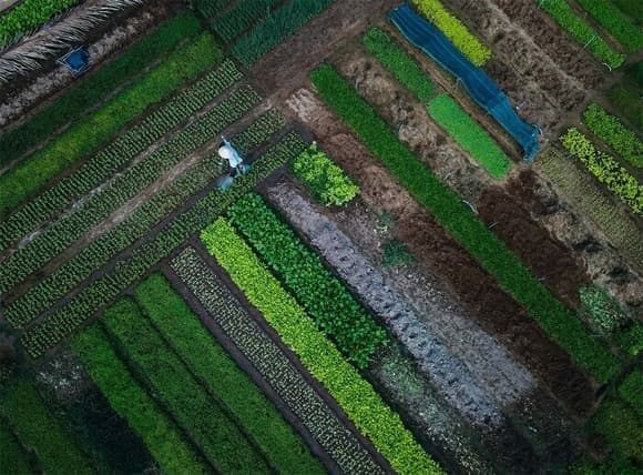 tỉnh nhận gần 70 giải thưởng du lịch chỉ trong 1 năm, quảng nam