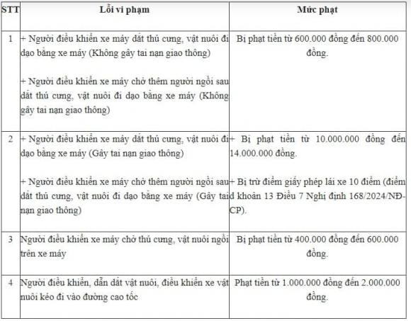 Chở thú cưng, nghị định 168