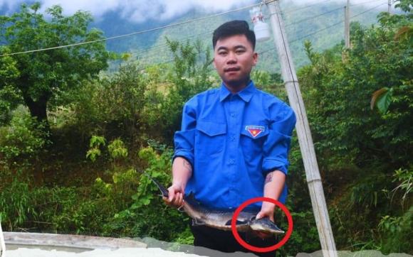 Nuôi cá tầm, mô hình nuôi cá tầm
