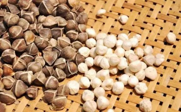 uống rượu, giải rượu