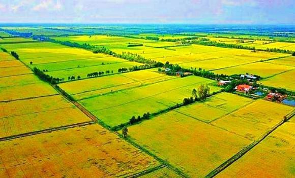 đất nông nghiệp, thí điểm chuyển nhượng, dự án nhà ở thương mại, thị trường bất động sản