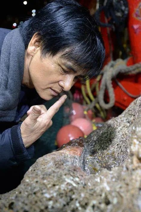 Gỗ quý, trầm hương